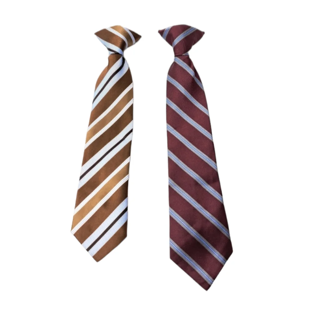 LOT OF 2 Boys Clip Tie Burgundy Grey and Brown Blue‎ White Stripes